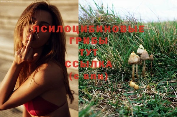 ECSTASY Нягань