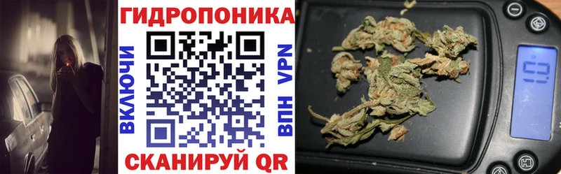 kraken сайт  закладка  Екатеринбург  Каннабис конопля 